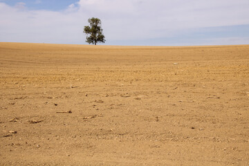 paysage désertique, sécheresse, réchauffement climatique, champ sec
