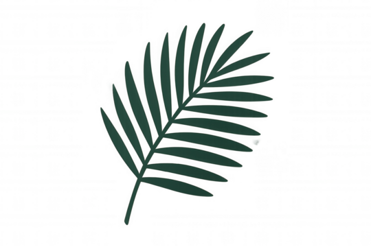 Minimalist palm frond illustration, representing tropical nature, botanical elements, and summer feelings. Transparent background - Powered by Adobe