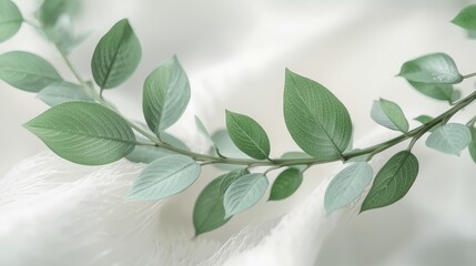 green leaves on a branch