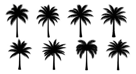 Vector art of collection of eight black palm tree silhouettes