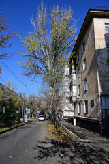Almaty city streets. Kazybek Bi street sunny fall day.
