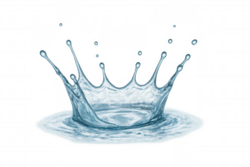 Water splash crown forming, creating ripples on liquid surface, clean fresh aqua concept on transparent background