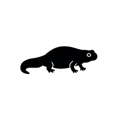 Silhouette of a salamander in black color on white background.