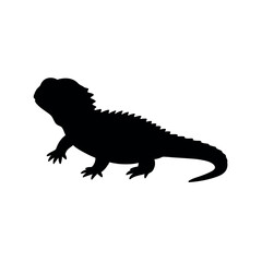 Silhouette of a Spiky Lizard on a White Background.