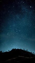 Starry night landscape silhouette