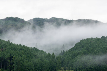 日本の鳥取県で見たとても美しい雨上がりの田園風景