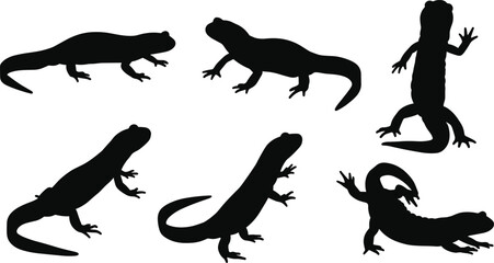 Silhouette lizard illustration, reptile animal design, gecko vector art, wildlife graphic, exotic creature pose, nature symbol, tropical fauna artwork