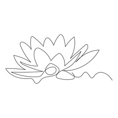 Minimalist line drawing of a water lily flower floating on water surface