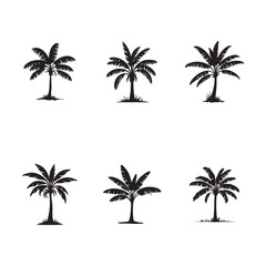 Fototapeta premium Silhouette of banana tree icon vector on white background