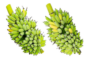 Tropical banana fruit isolated on white background