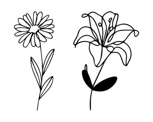 One-Line Flower Art Duo: Continuous Outline Drawing of Daisy & Lily – Minimalist Black & White Botanical Sketch for Modern Tattoos, Wall Art, and Graphic Design