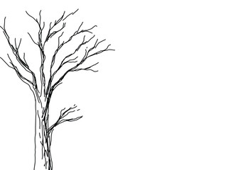 sketh of tree nature outline drawing with copy space.eps