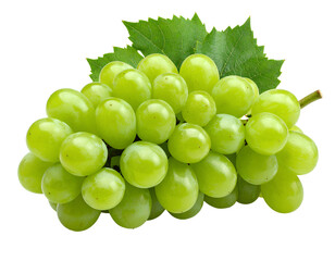 Fresh Green Grapes on Vine - isolated on a transparent background for Design Projects