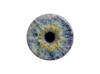 Close up of a striking blue eye iris detailed texture, Isolated On Transparent Background, Png