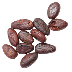A pile of raw cocoa beans on a transparent background. 