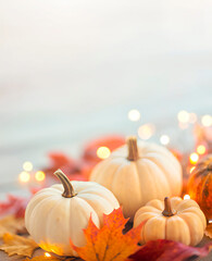 White pumpkins, colorful maple leaves, and warm glowing bokeh lights. Festive Thanksgiving fall decoration background for cards, posters, and seasonal designs.