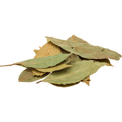 Dried bay leaves pile on a transparent background. 