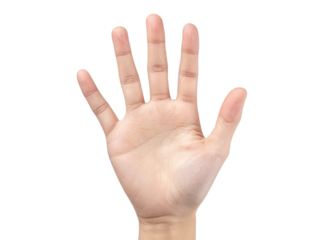 Open hand palm up five fingers isolated black background, Isolated On Transparent Background, Png
