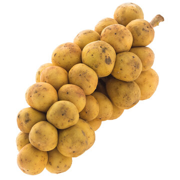 A bunch of ripe longan fruits on a stalk. 