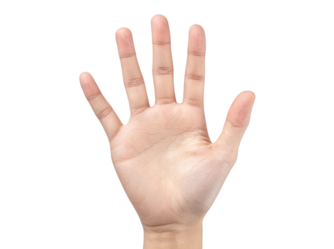 Open hand palm up five fingers isolated black background, Isolated On Transparent Background, Png