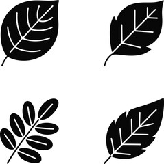 Collection of four distinct leaf silhouettes in black and white for design elements silhouette