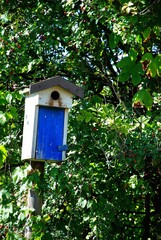 A small wooden birdhouse with a bright blue door nestled among green leaves and branches