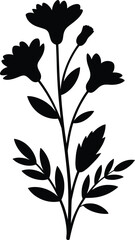 Delicate black silhouette of a flowering plant with three blossoms and leaves on a white background