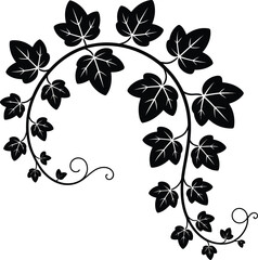 Elegant black ivy vine with detailed leaves in a flowing decorative silhouette