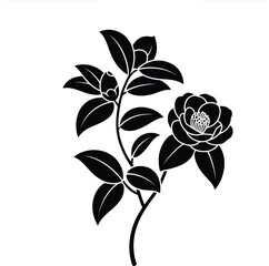 Elegant black silhouette of a blooming camellia flower branch with leaves and buds