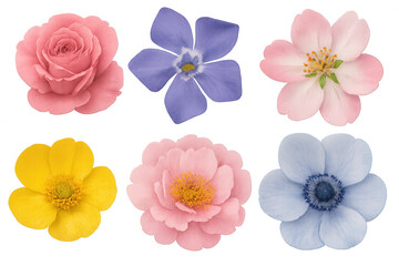 Floral collection with rose, periwinkle, wild rose, buttercup, peony, and anemone blooms on transparent background