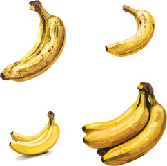 bananas isolated on white background, set of yellow fruits in color style 