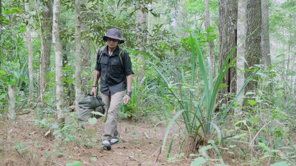 4K cinematic footage of a man walking through lush green forest carrying camping gear, ideal for travel vlog, adventure lifestyle, and outdoor exploration visuals