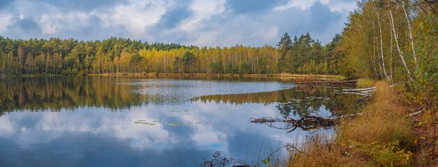 forest lake golden in autumn