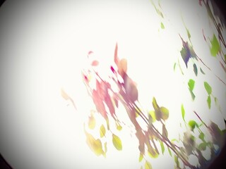 光に溶ける葉のアート ― パステルカラーの幻想的な植物