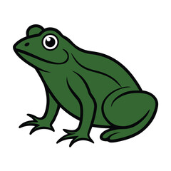 Obraz premium green tree frog