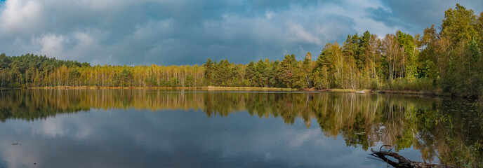forest lake golden in autumn