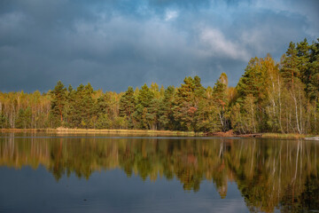 forest lake golden in autumn