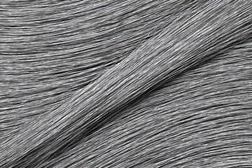 Obraz premium Dense, textured, parallel gray lines flow across the surface