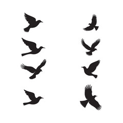 Silhouette of bird in flight icon vector isolated on white background