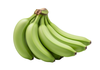 A perfectly formed bunch of seven unripe green bananas, white background isolated