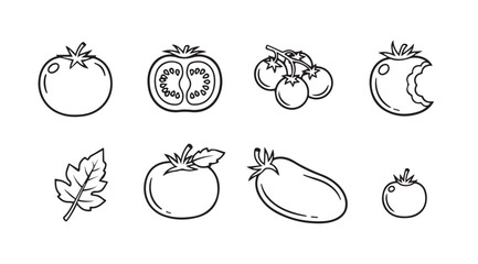 Hand drawn sketch collection of fresh tomatoes and a leaf for culinary design vector