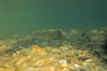 Adda (river)