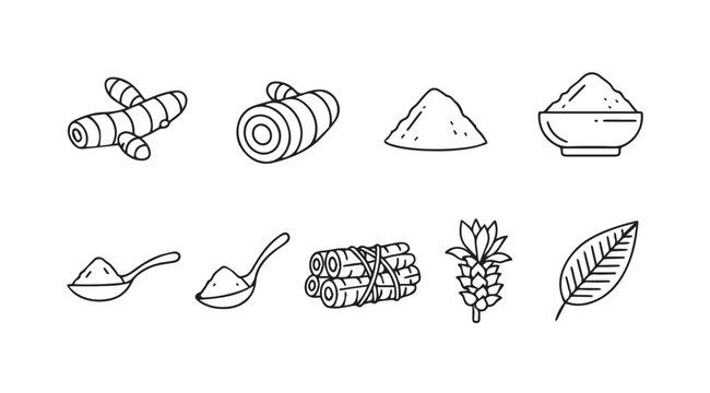 Hand drawn turmeric root spice powder leaves and flowers elements in line art style vector