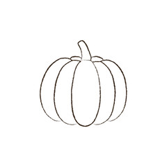 line vector illustration of a pumpkin. hand drawn autumn pumpkin. cozy fall harvest.