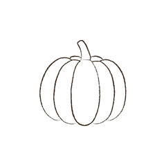 line vector illustration of a pumpkin. hand drawn autumn pumpkin. cozy fall harvest.