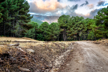 Camino del puerto de Casillas