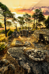 Amanece tras las rocas y los pinos