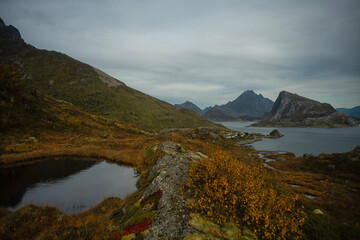 An autumn photo from western Lofoten islands