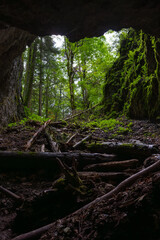 Cave entrance opening to forest