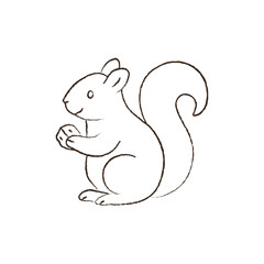 line vector illustration of a squirrel with a nut. hand drawn autumn squirrel. forest animal.